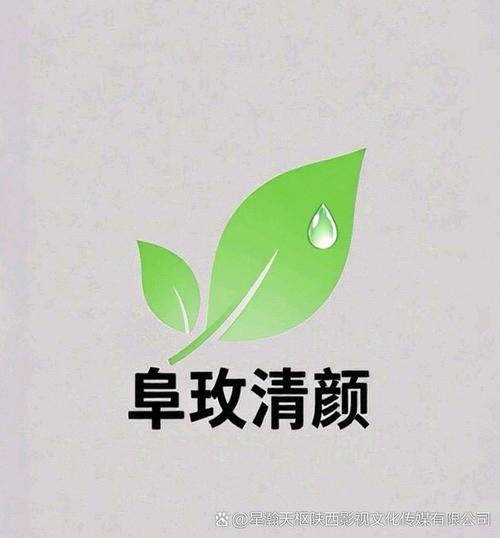 星瀚天枢影视文化传媒 · 经纪人悦仔的文化践行记